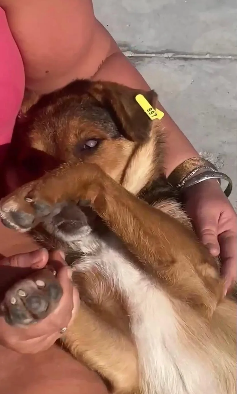 WhatsApp Image 2026-01-06 at 06.01.39.jpeg