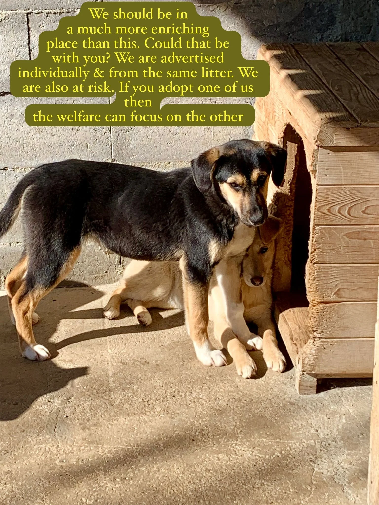 WhatsApp Image 2026-03-07 at 13.55.16.jpeg