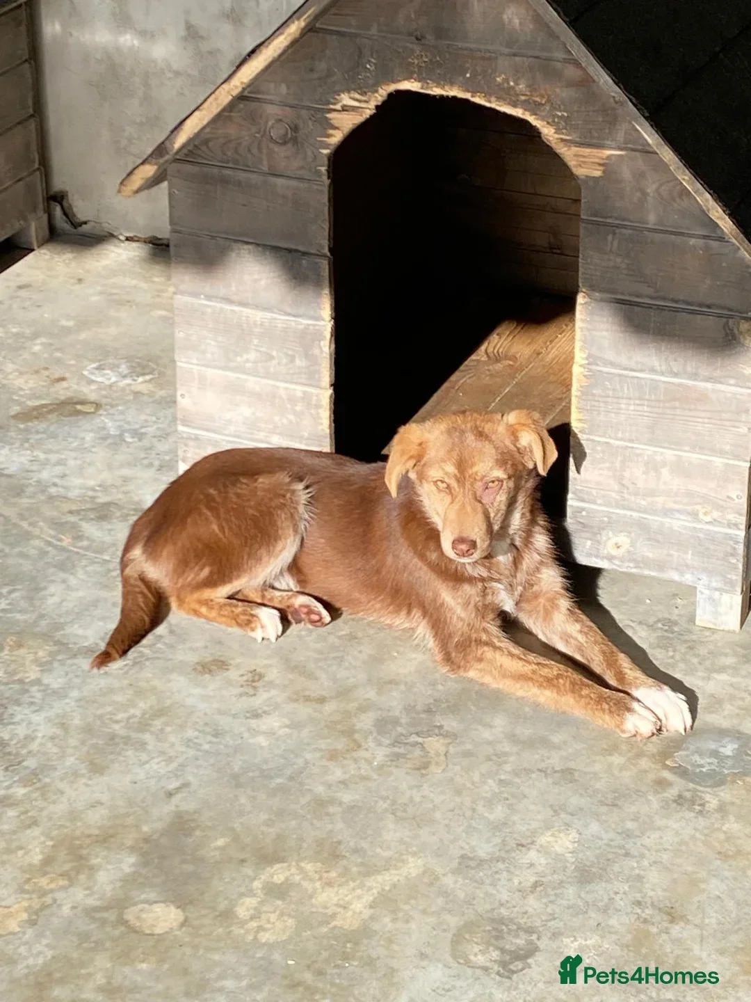 originalImage (10).webp