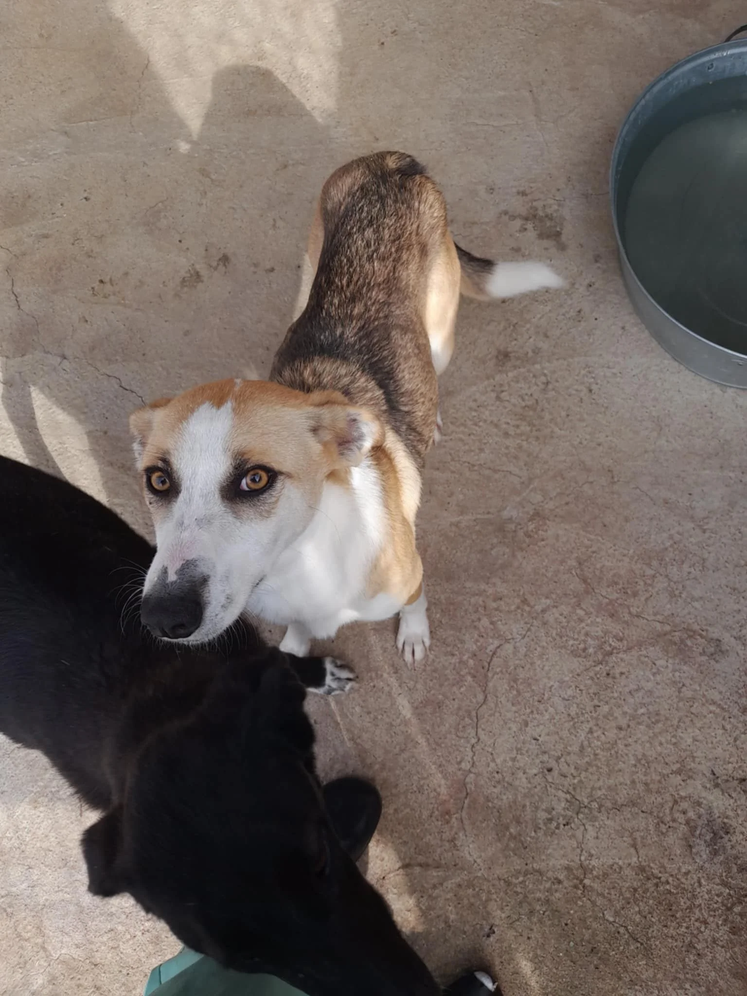 WhatsApp Image 2026-01-08 at 07.57.05.jpeg