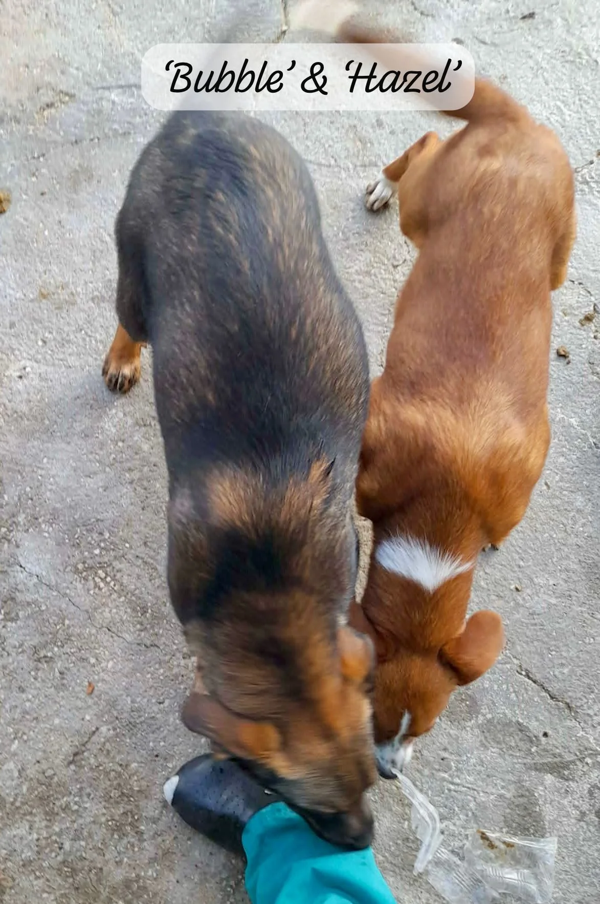 WhatsApp Image 2026-03-17 at 16.08.48 (2).jpeg