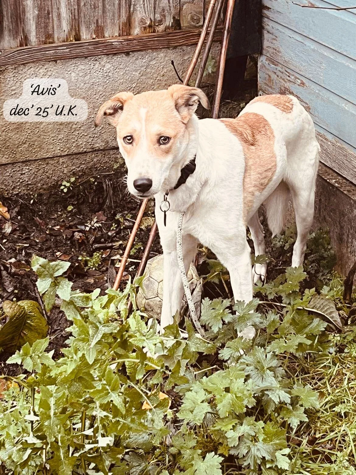 WhatsApp Image 2026-02-08 at 10.19.58.jpeg