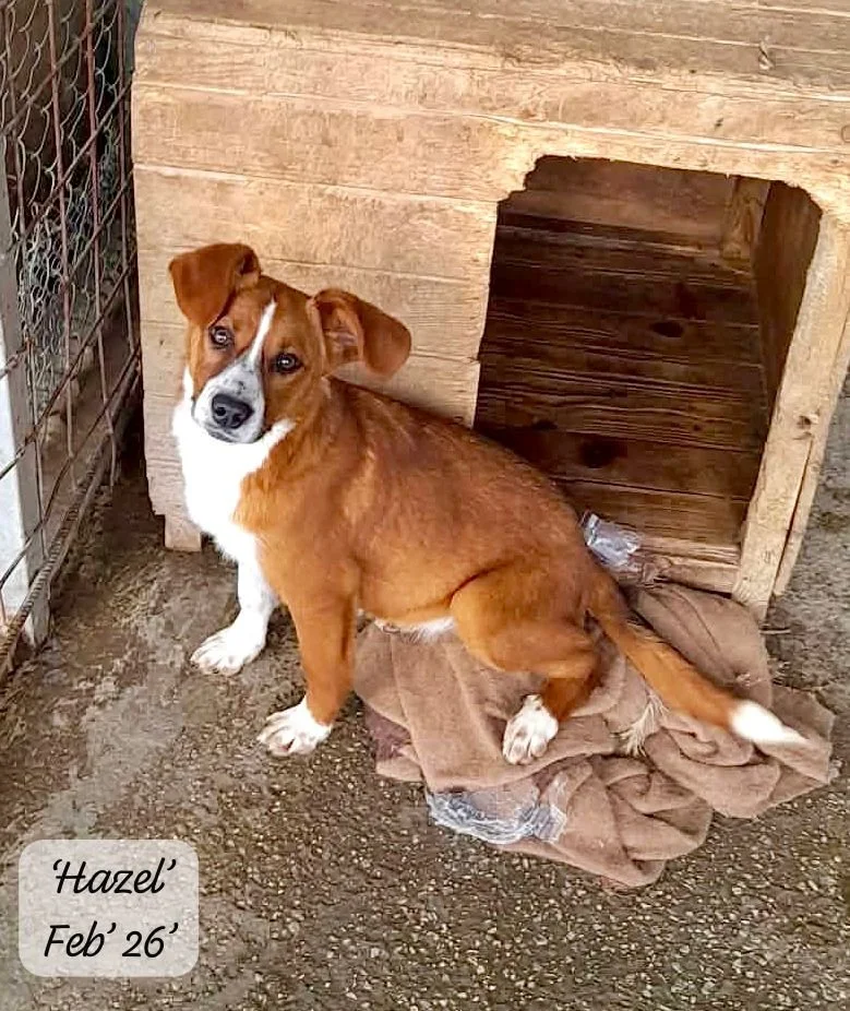 WhatsApp Image 2026-03-17 at 16.08.49 (2).jpeg