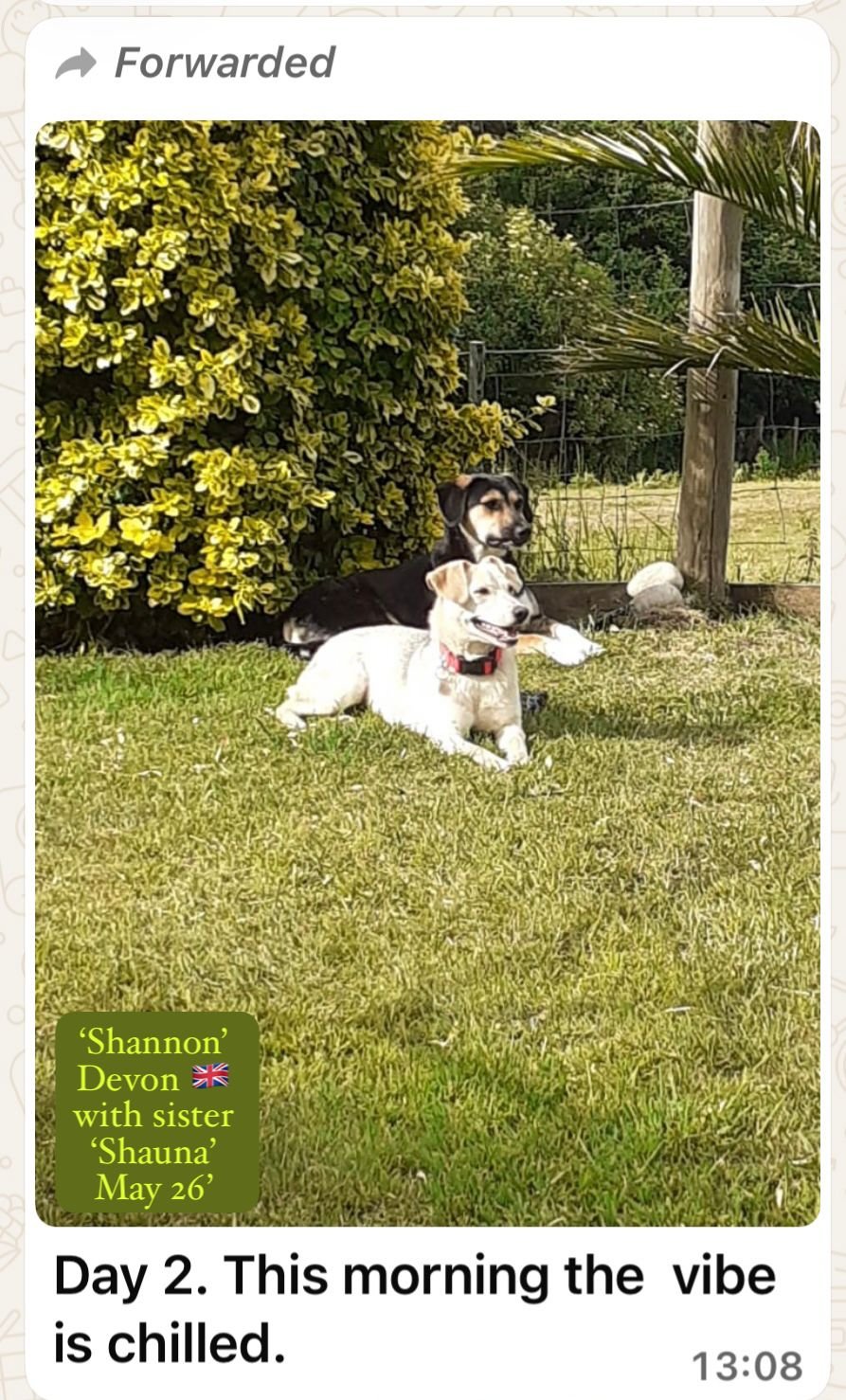 WhatsApp Image 2026-06-06 at 14.26.00 (1).jpeg