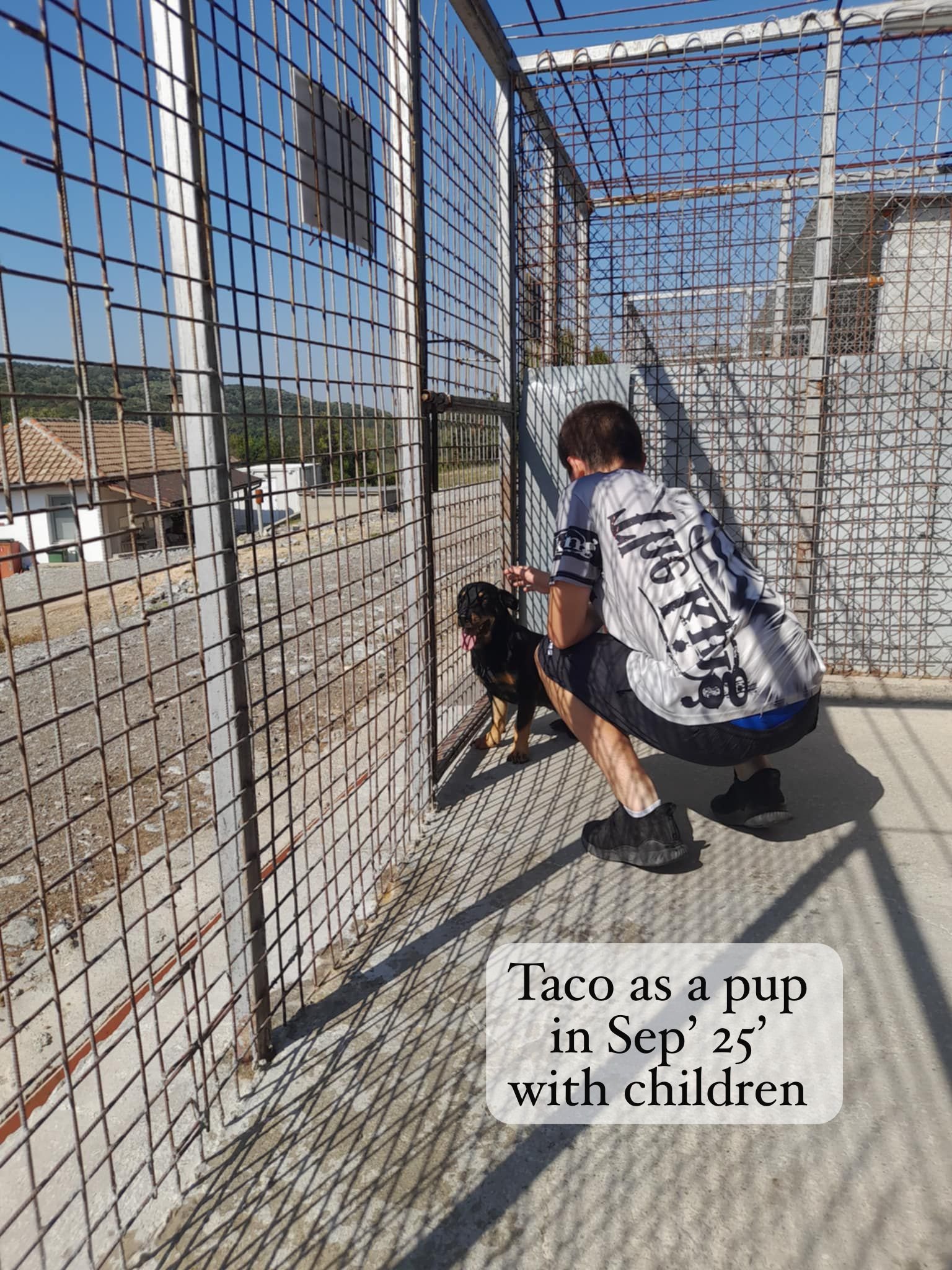 WhatsApp Image 2026-03-06 at 15.18.23 (2).jpeg