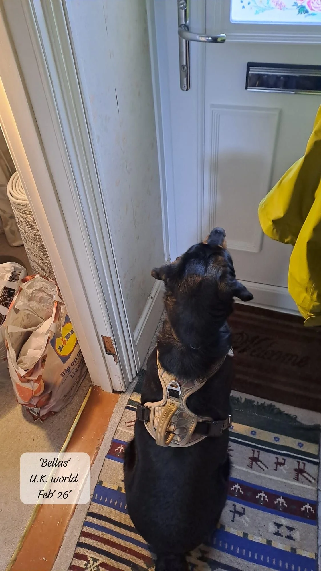 WhatsApp Image 2026-02-27 at 11.48.54 (1).jpeg