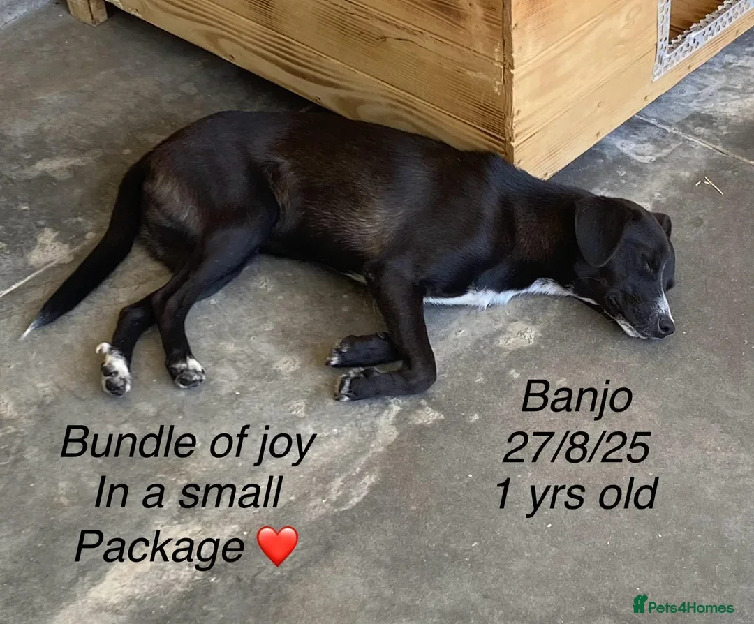 originalImage (8).webp