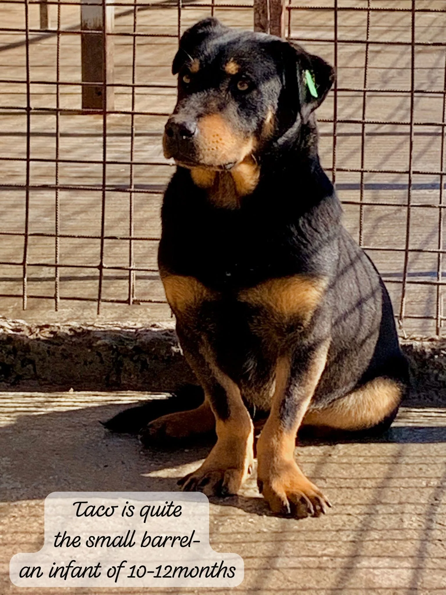 WhatsApp Image 2026-03-06 at 15.14.42 (2).jpeg