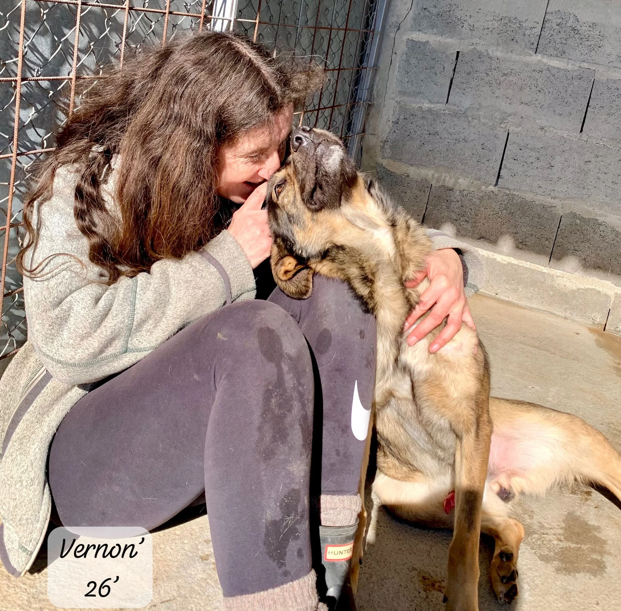 WhatsApp Image 2026-03-20 at 14.31.50 (3).jpeg