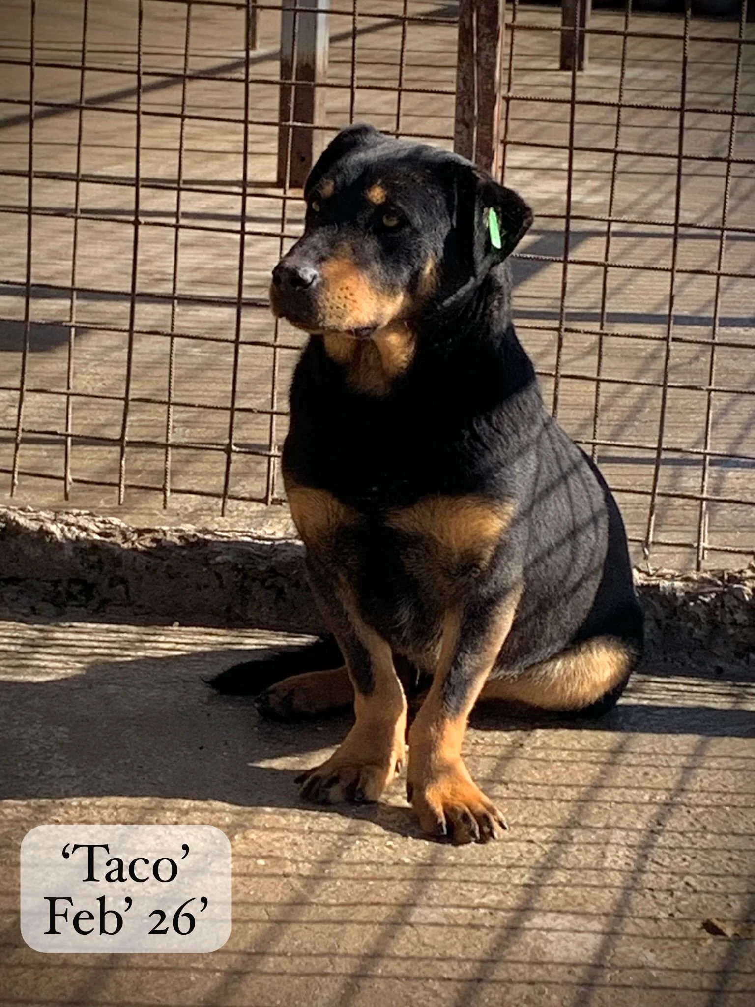 WhatsApp Image 2026-03-06 at 15.14.43.jpeg