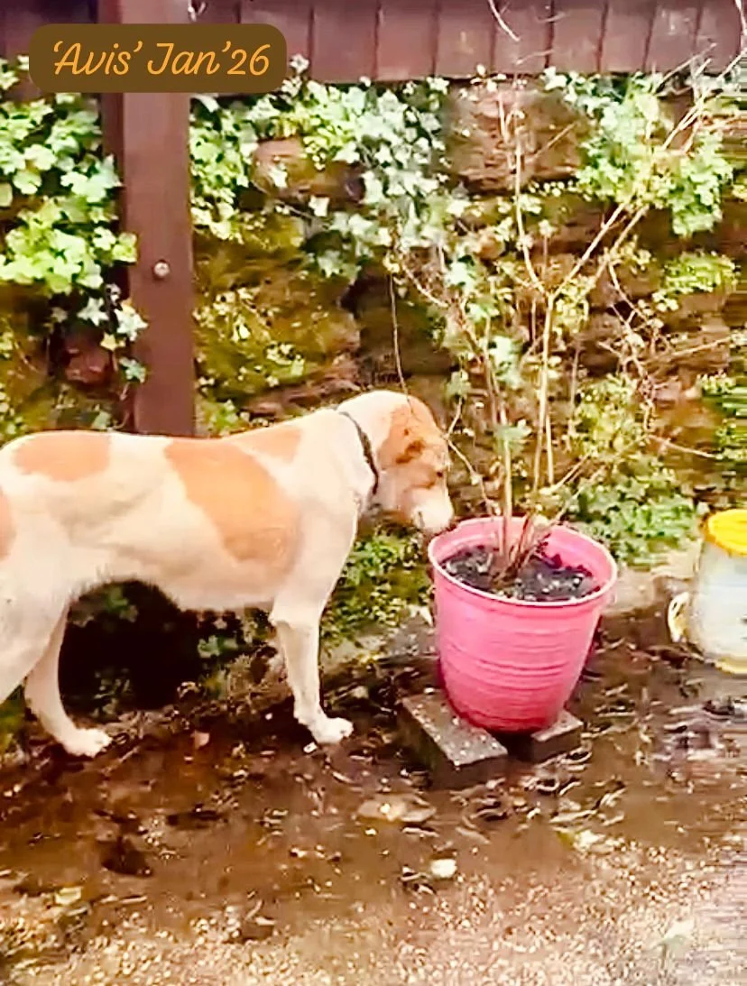 WhatsApp Image 2026-02-08 at 10.19.55.jpeg