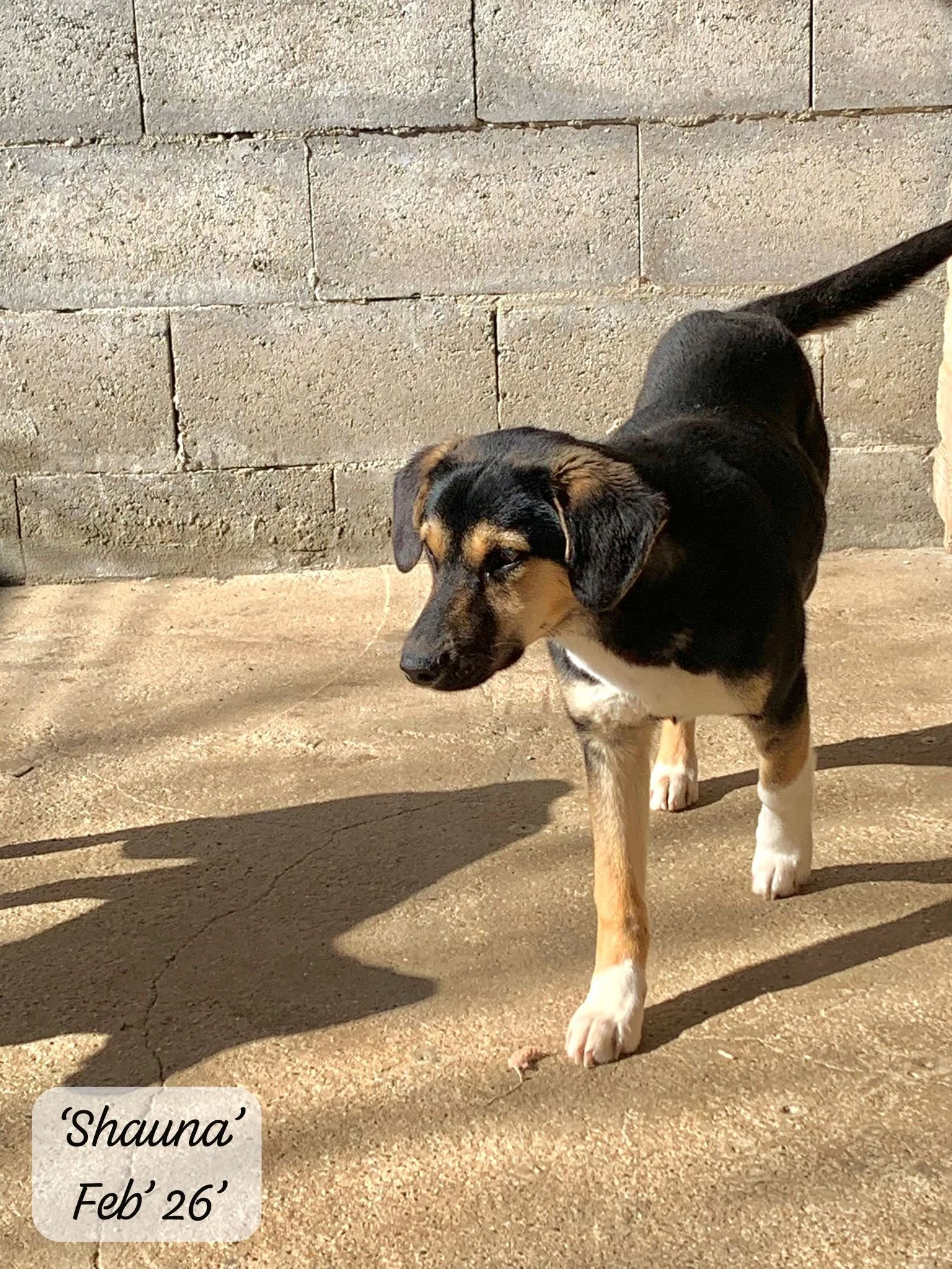 WhatsApp Image 2026-03-07 at 13.55.184.jpeg