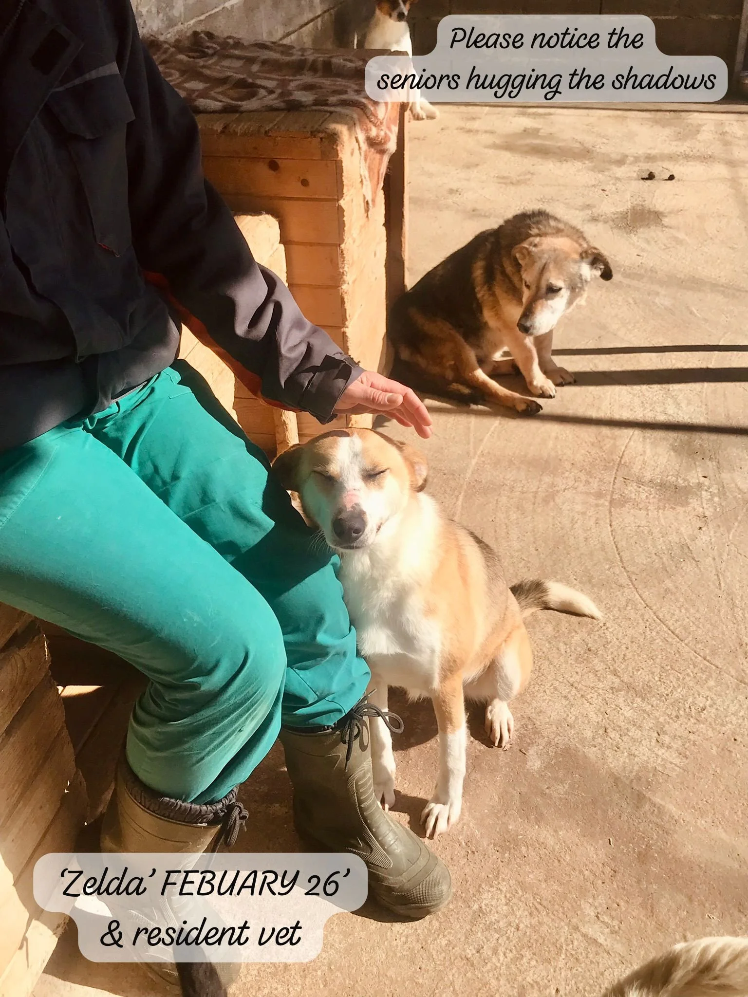 WhatsApp Image 2026-03-05 at 10.18.08.jpeg