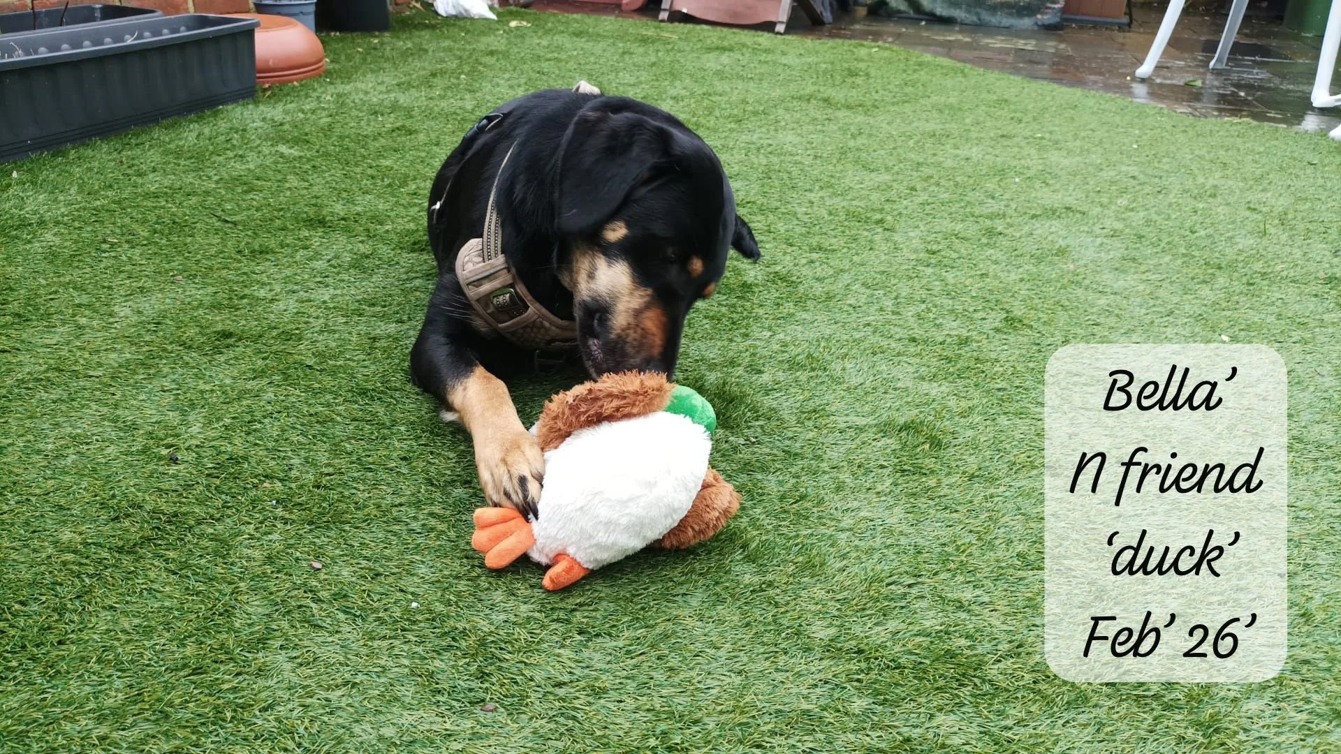 WhatsApp Image 2026-02-27 at 11.51.37.jpeg