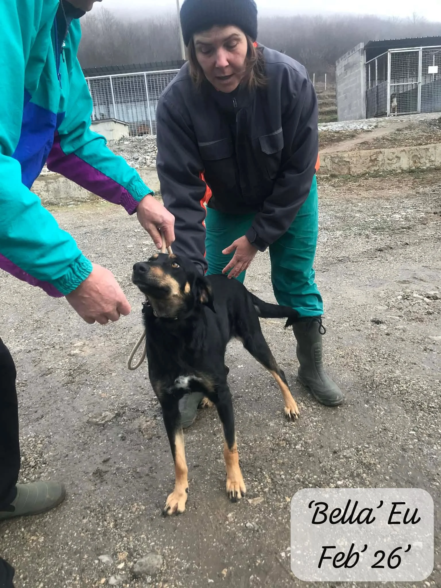 WhatsApp Image 2026-02-27 at 11.45.41.jpeg