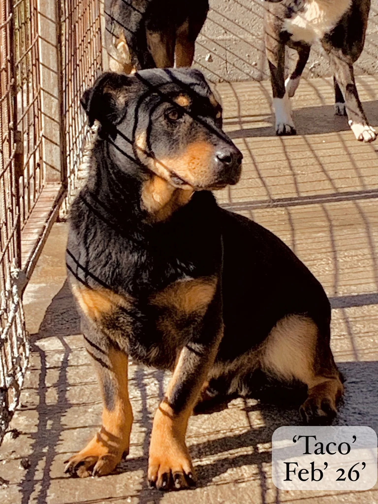 WhatsApp Image 2026-03-06 at 15.14.43 (1).jpeg