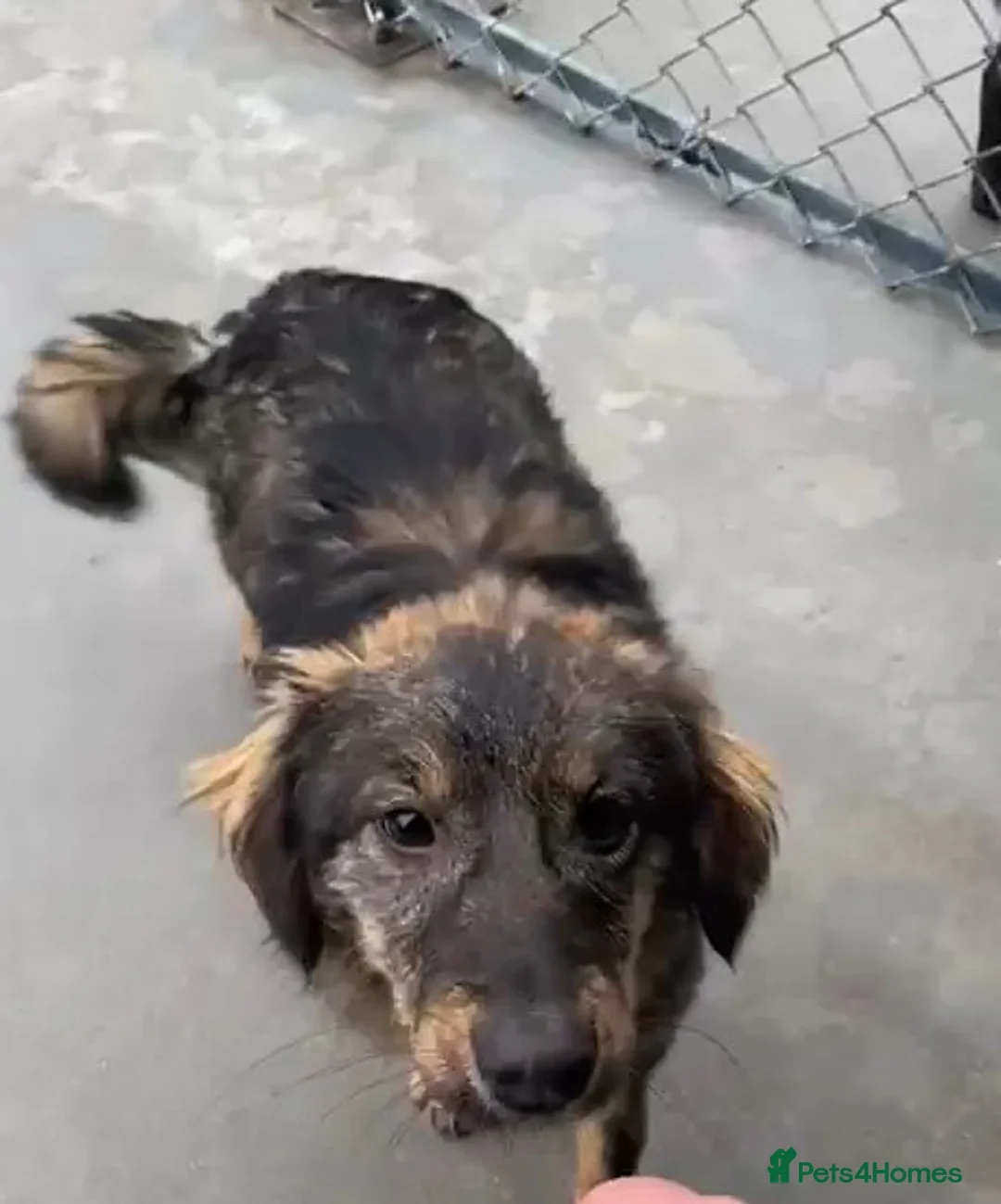 originalImage (1).webp