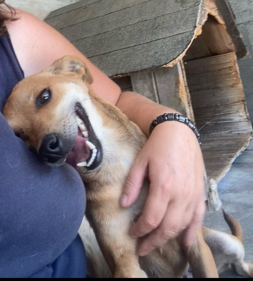 WhatsApp Image 2026-08-26 at 18.37.18.jpeg