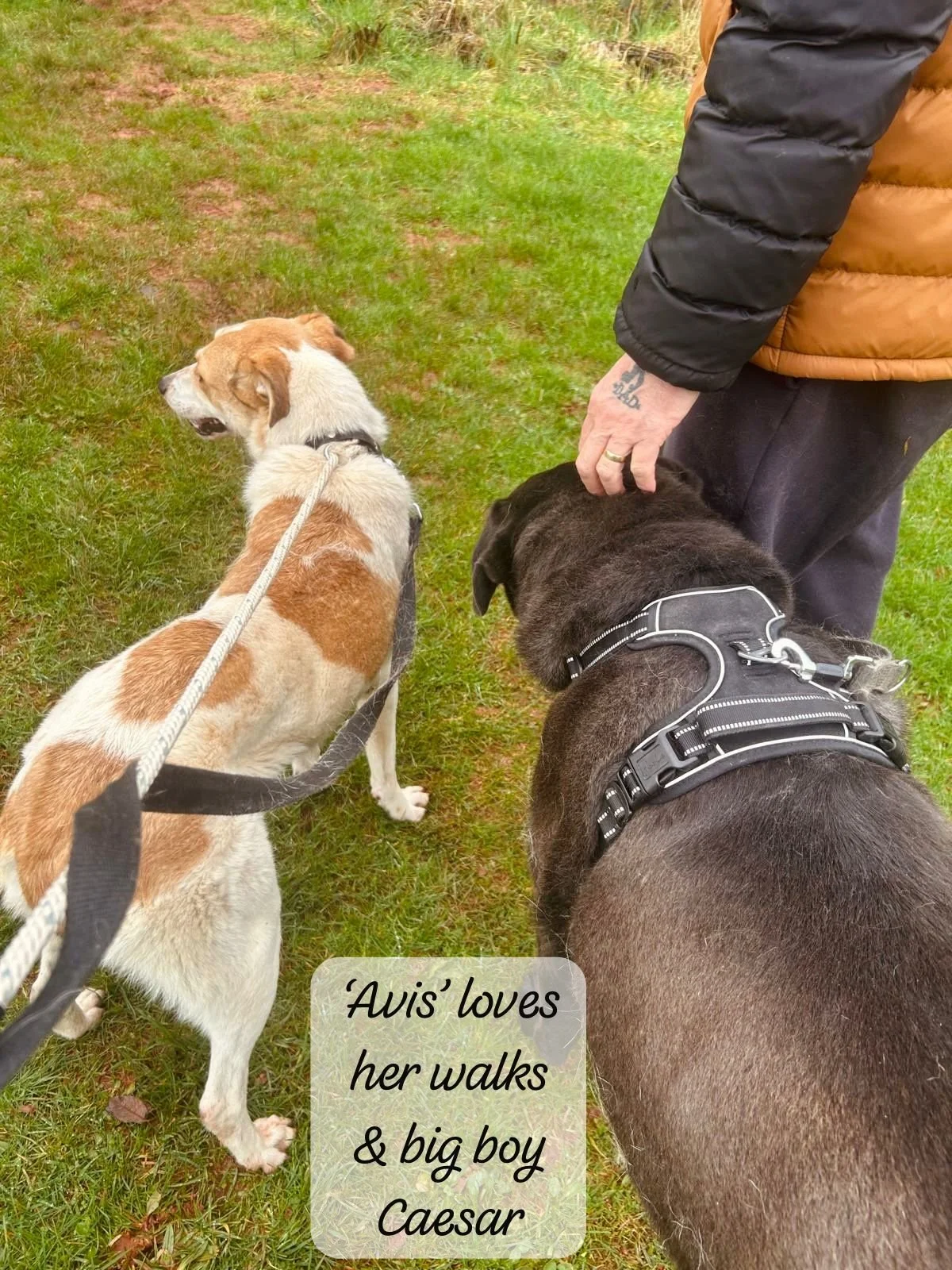 WhatsApp Image 2026-02-28 at 16.19.55.jpeg