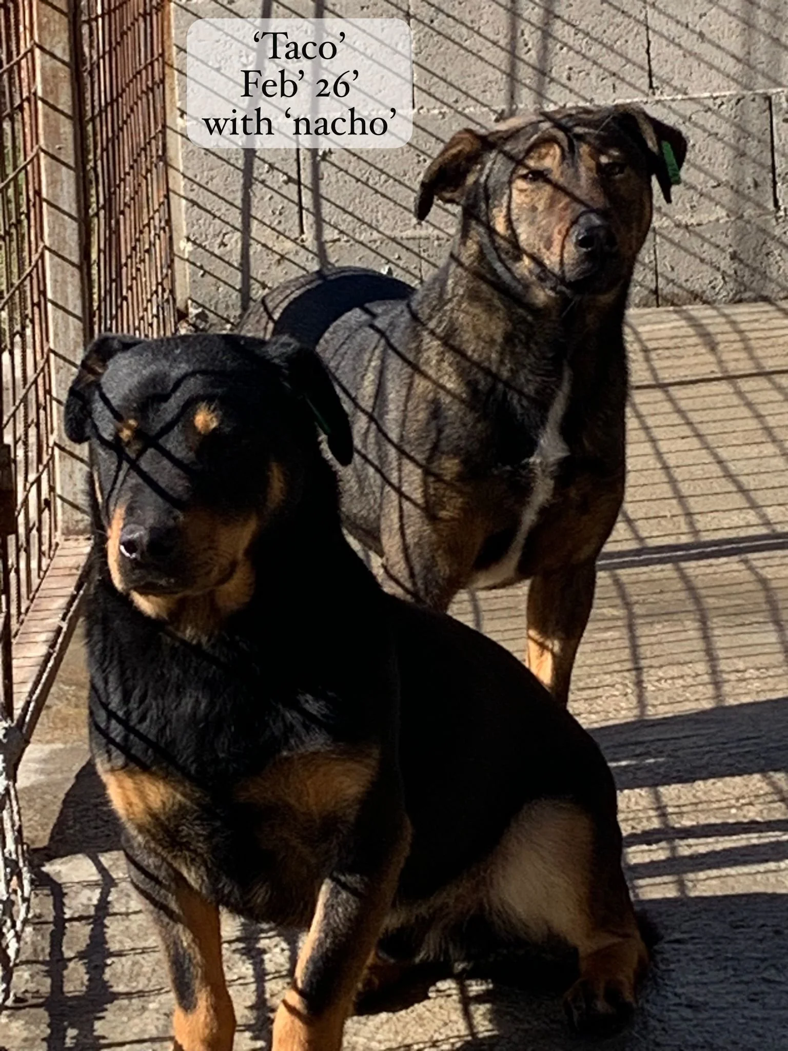 WhatsApp Image 2026-03-06 at 15.14.43 (2).jpeg