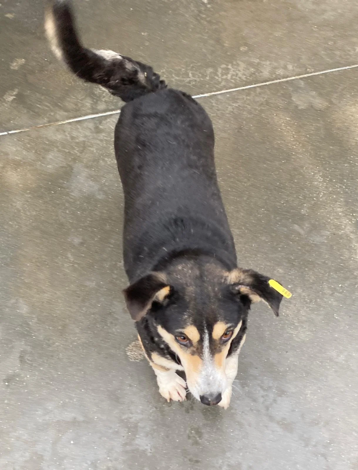 WhatsApp Image 2026-01-07 at 12.04.43.jpeg