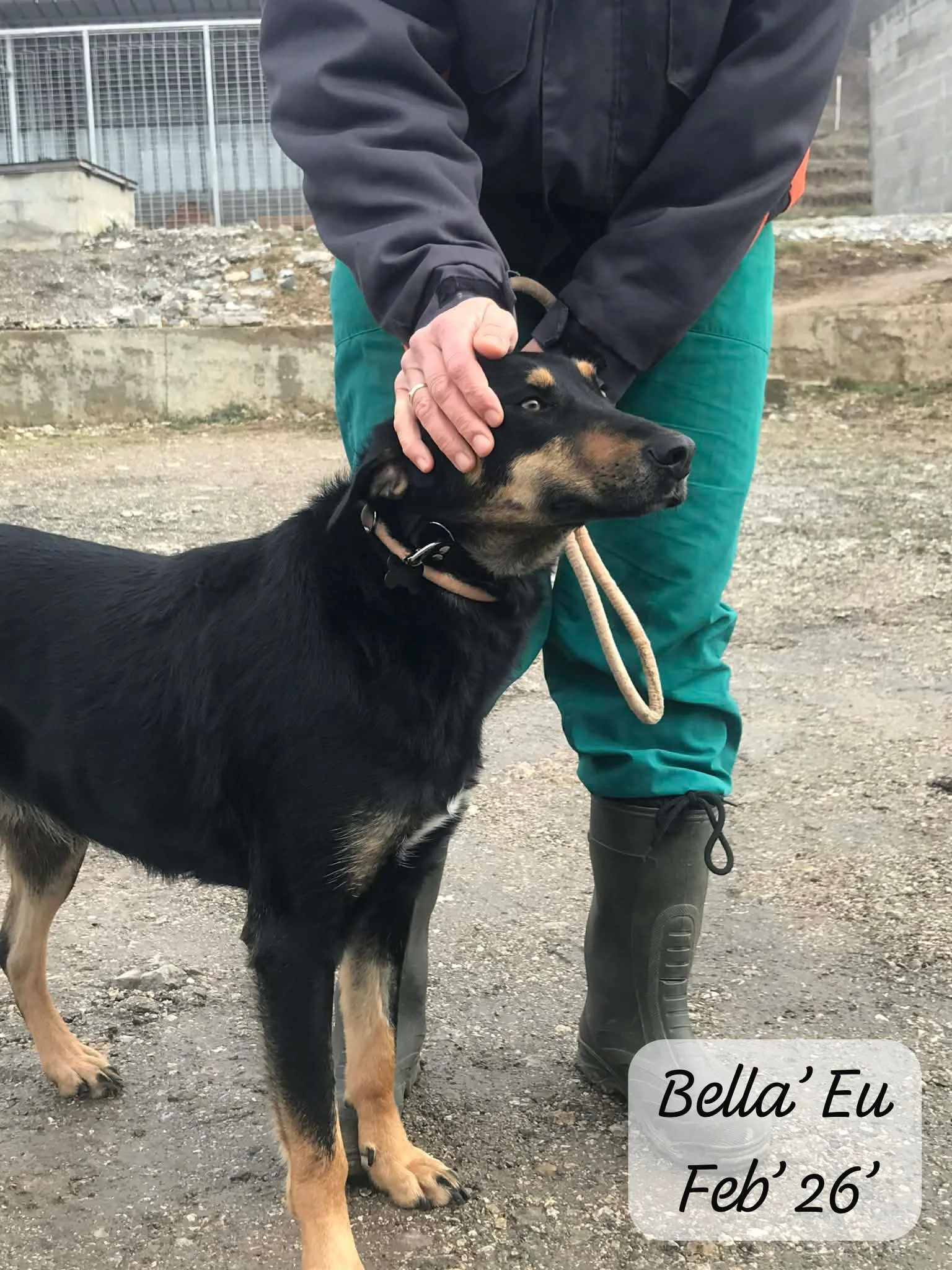 WhatsApp Image 2026-02-27 at 11.45.42 (2).jpeg