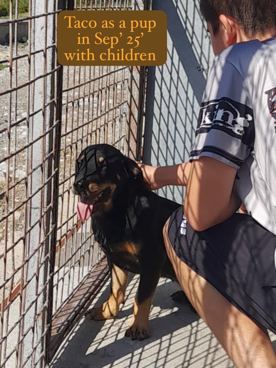 WhatsApp Image 2026-03-06 at 15.18.23 (1).jpeg