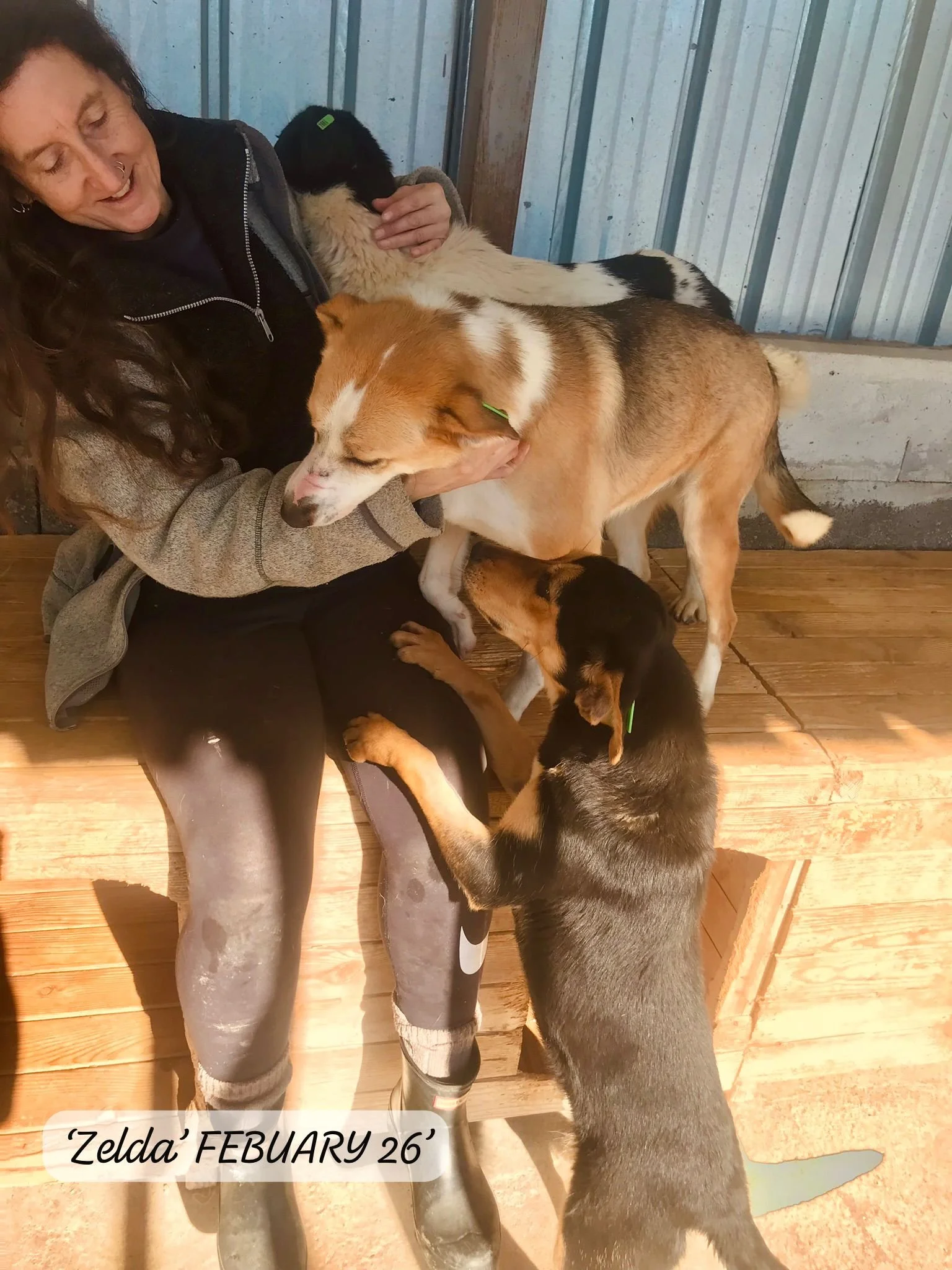 WhatsApp Image 2026-03-05 at 10.15.03 (4).jpeg