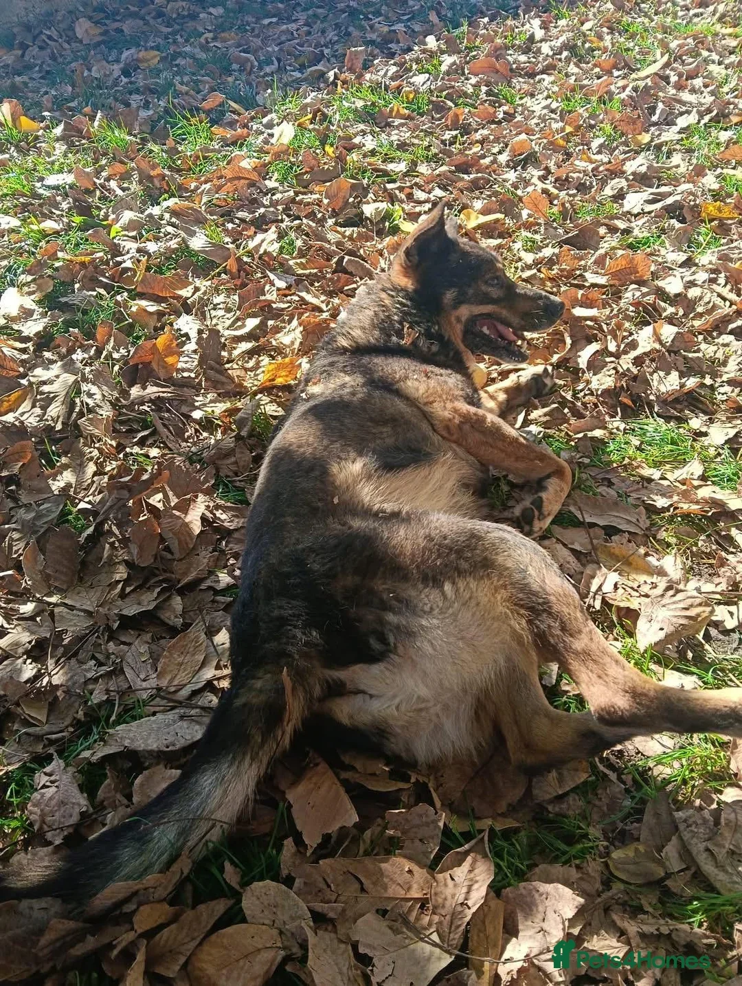 originalImage (6).webp