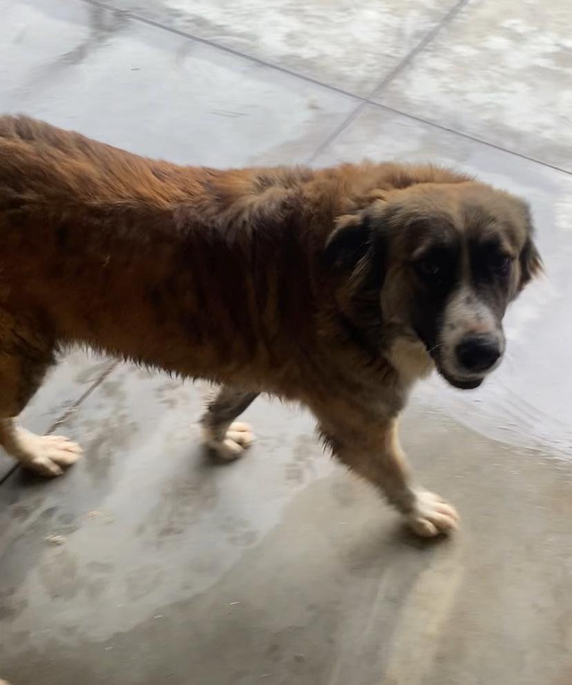 WhatsApp Image 2026-01-07 at 12.17.202.jpeg