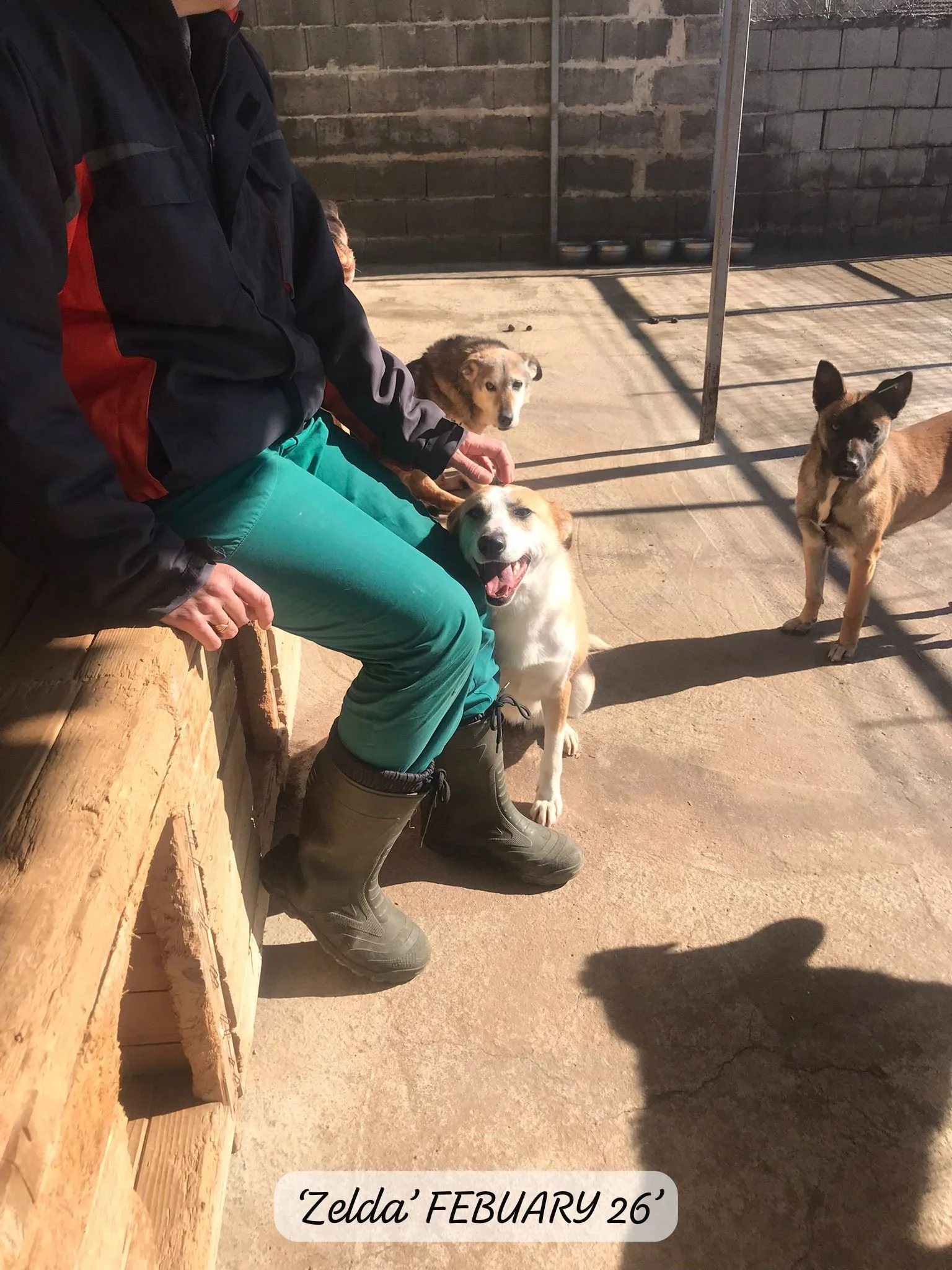 WhatsApp Image 2026-03-05 at 10.18.12.jpeg