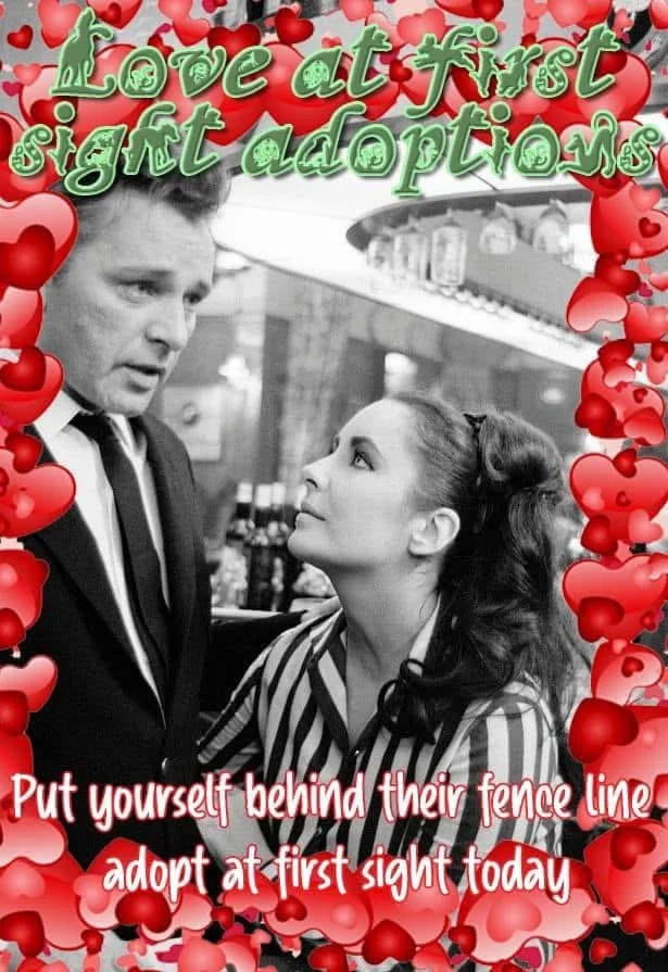 WhatsApp Image 2026-03-20 at 15.34.03.jpeg