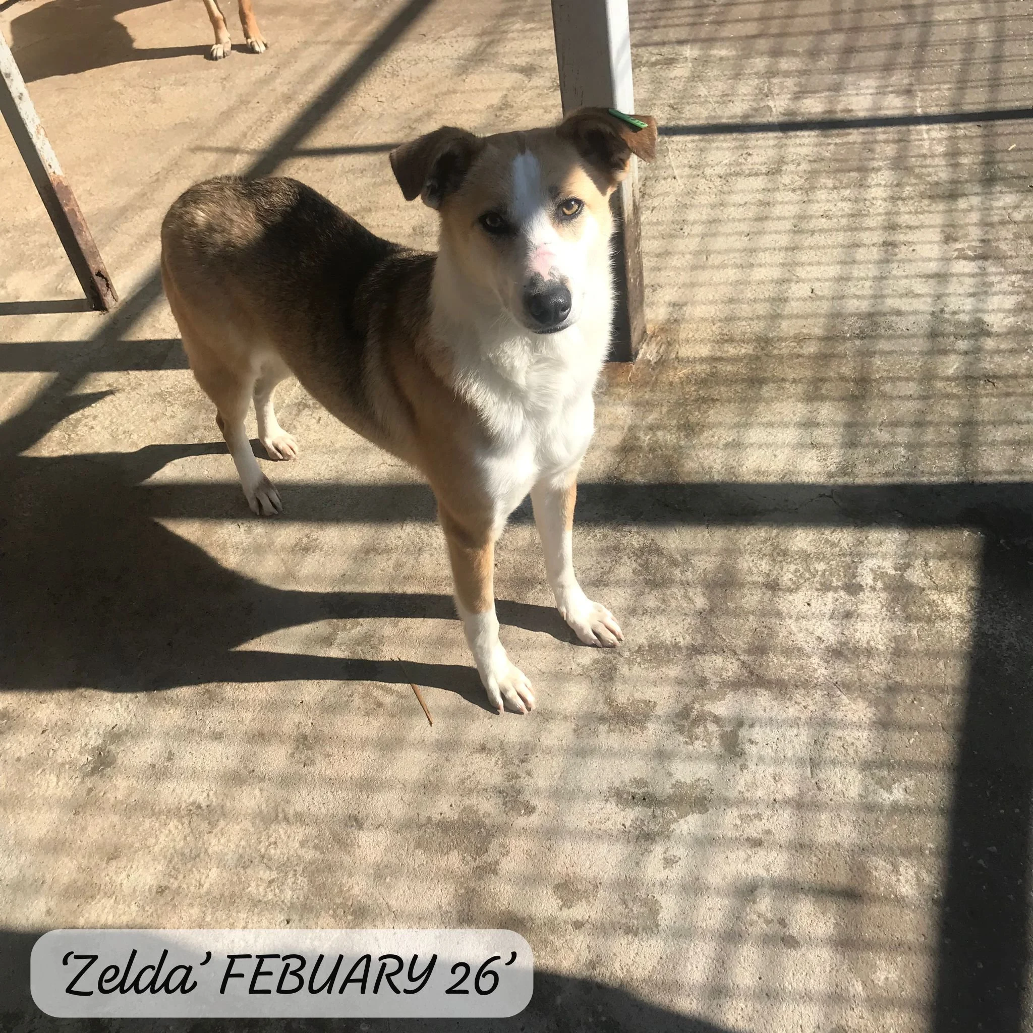 WhatsApp Image 2026-03-05 at 10.18.14 (1).jpeg