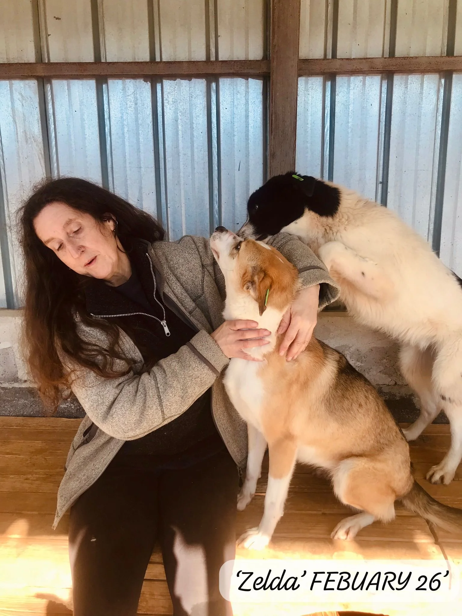 WhatsApp Image 2026-03-05 at 10.15.04 (3).jpeg