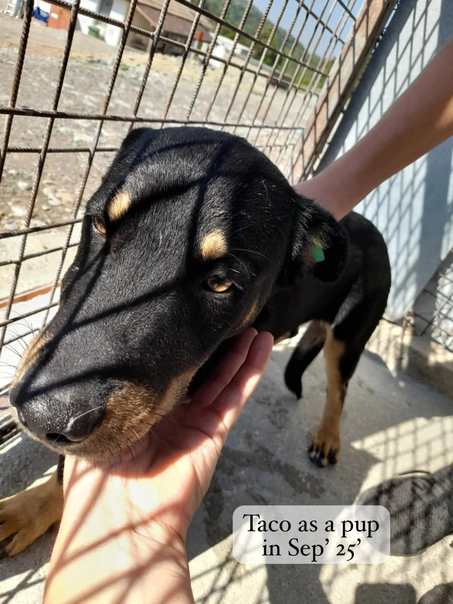 WhatsApp Image 2026-03-06 at 15.18.22 (2).jpeg