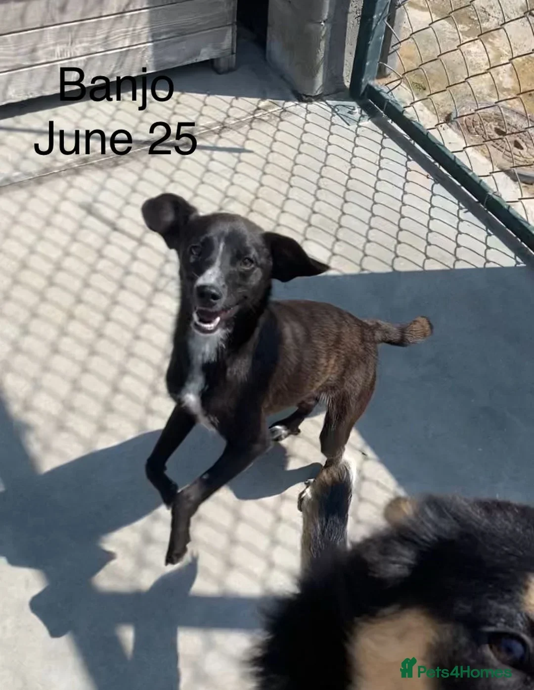 originalImage (13).webp