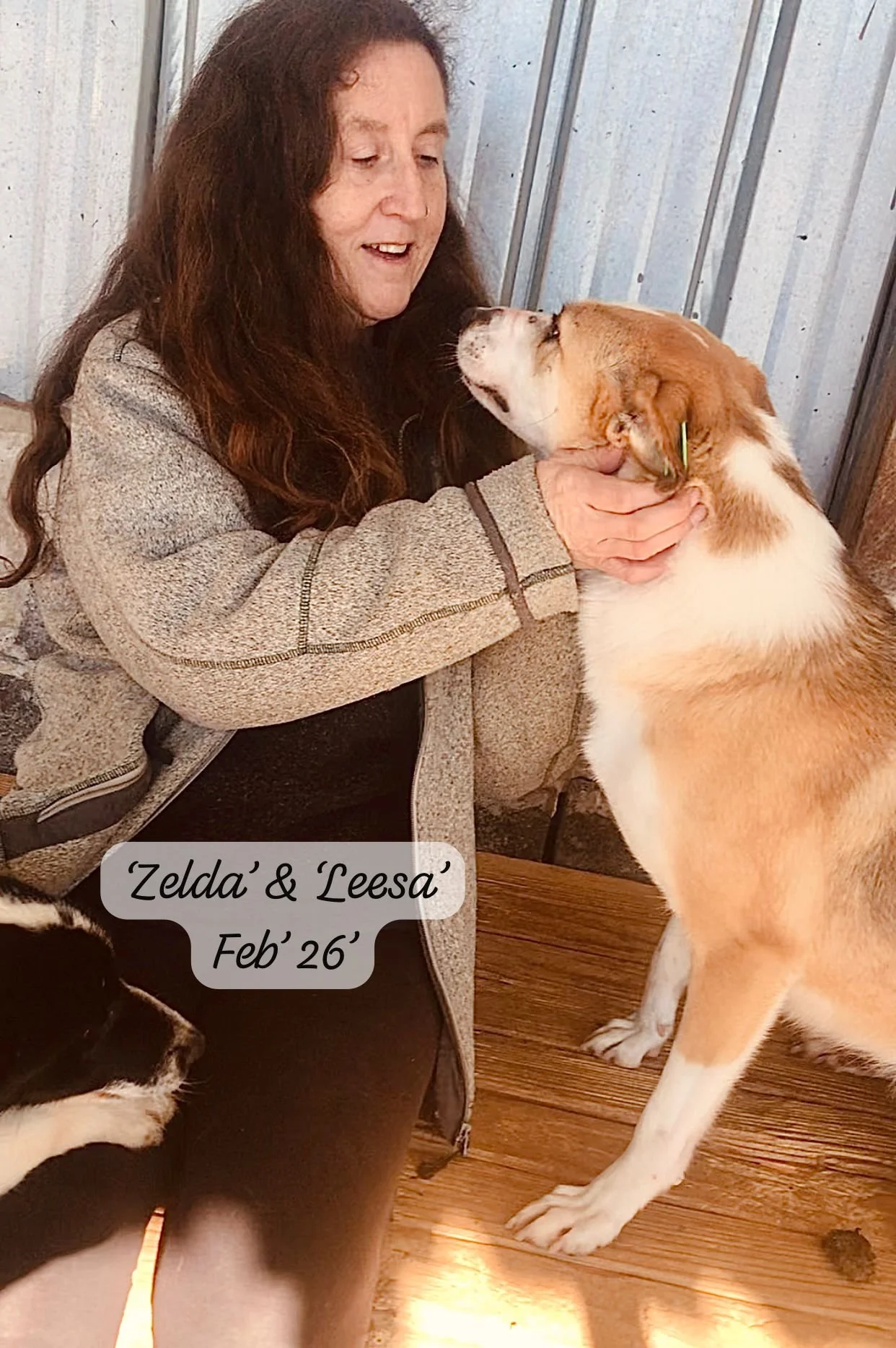 WhatsApp Image 2026-03-07 at 10.31.30.jpeg