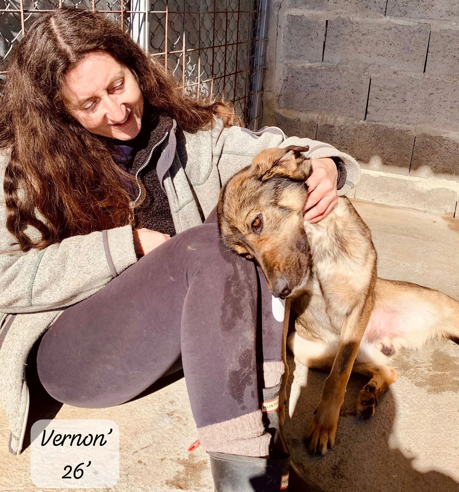 WhatsApp Image 2026-03-20 at 14.31.51 (1).jpeg