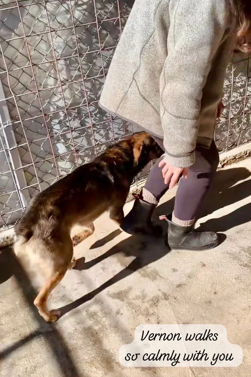 WhatsApp Image 2026-03-20 at 14.31.50.jpeg