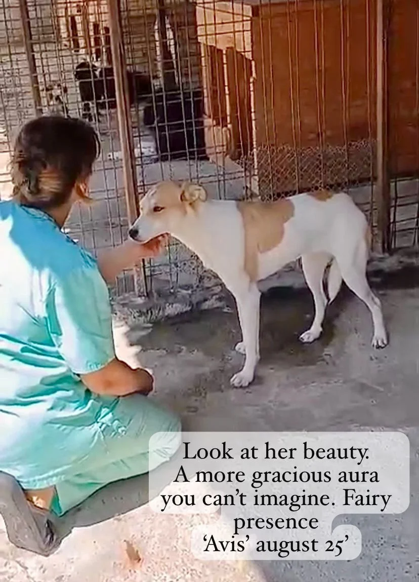 WhatsApp Image 2026-02-08 at 10.20.01 (3).jpeg