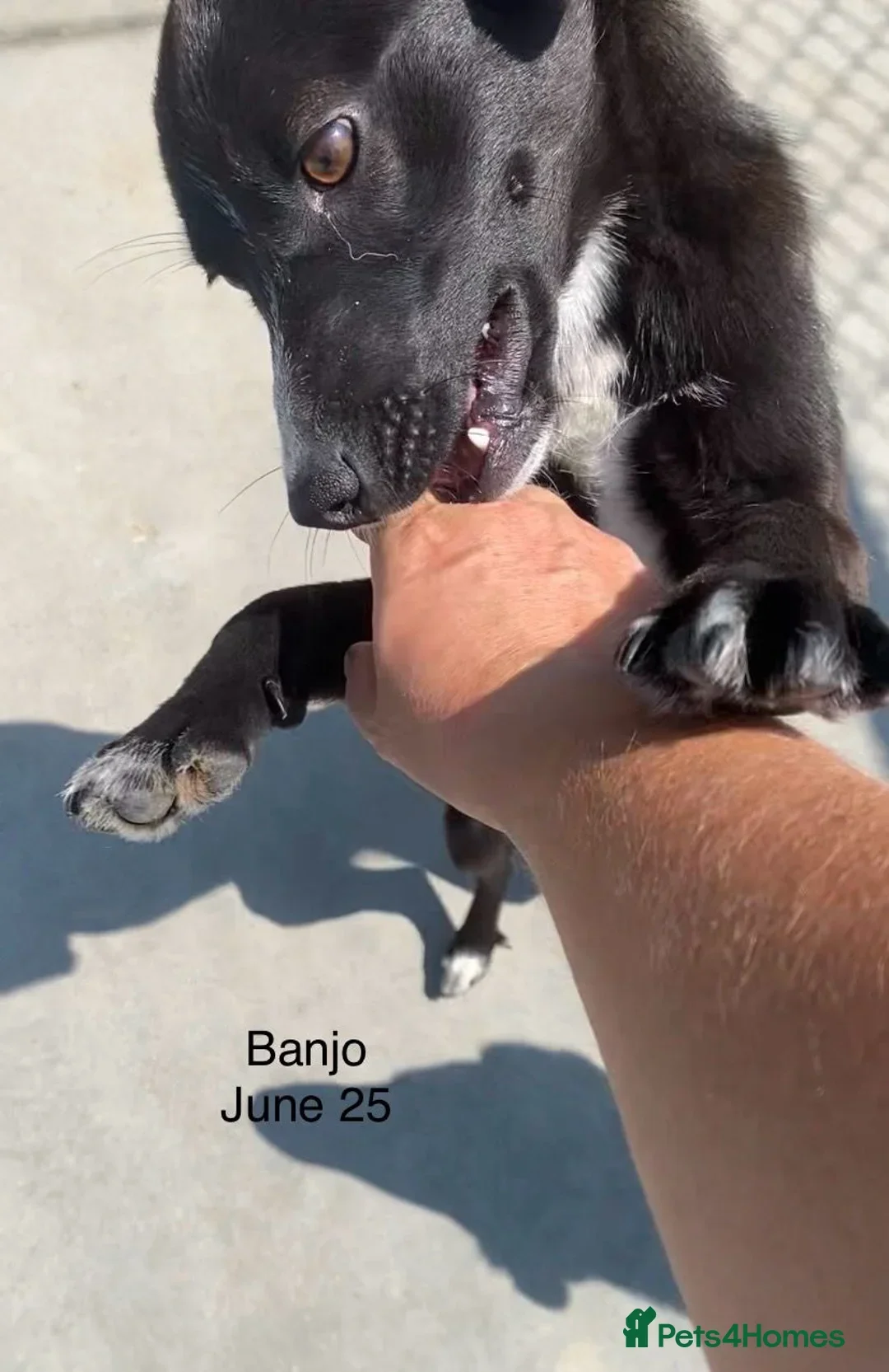 originalImage (10).webp