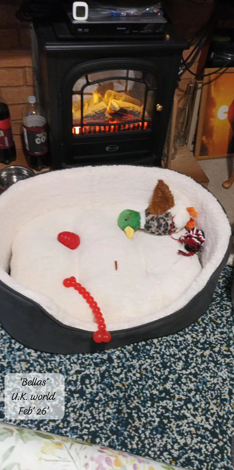 WhatsApp Image 2026-02-27 at 11.48.53.jpeg