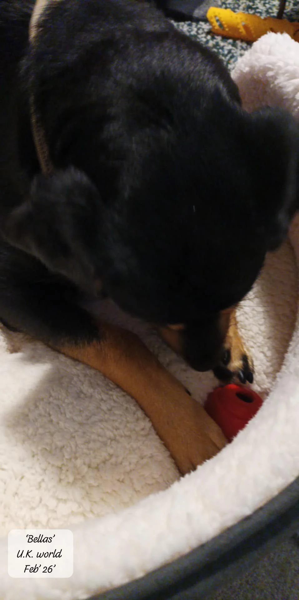 WhatsApp Image 2026-02-27 at 11.48.53 (3).jpeg