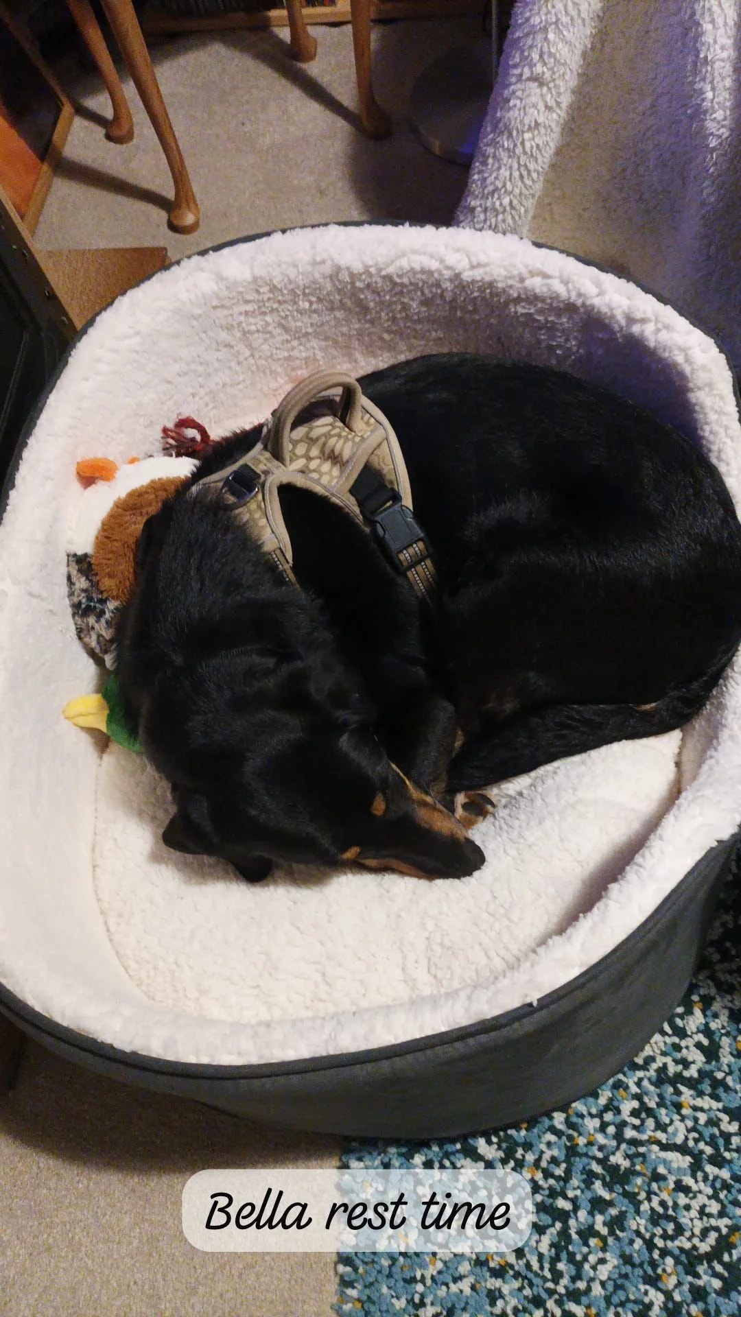 WhatsApp Image 2026-02-27 at 11.51.38.jpeg