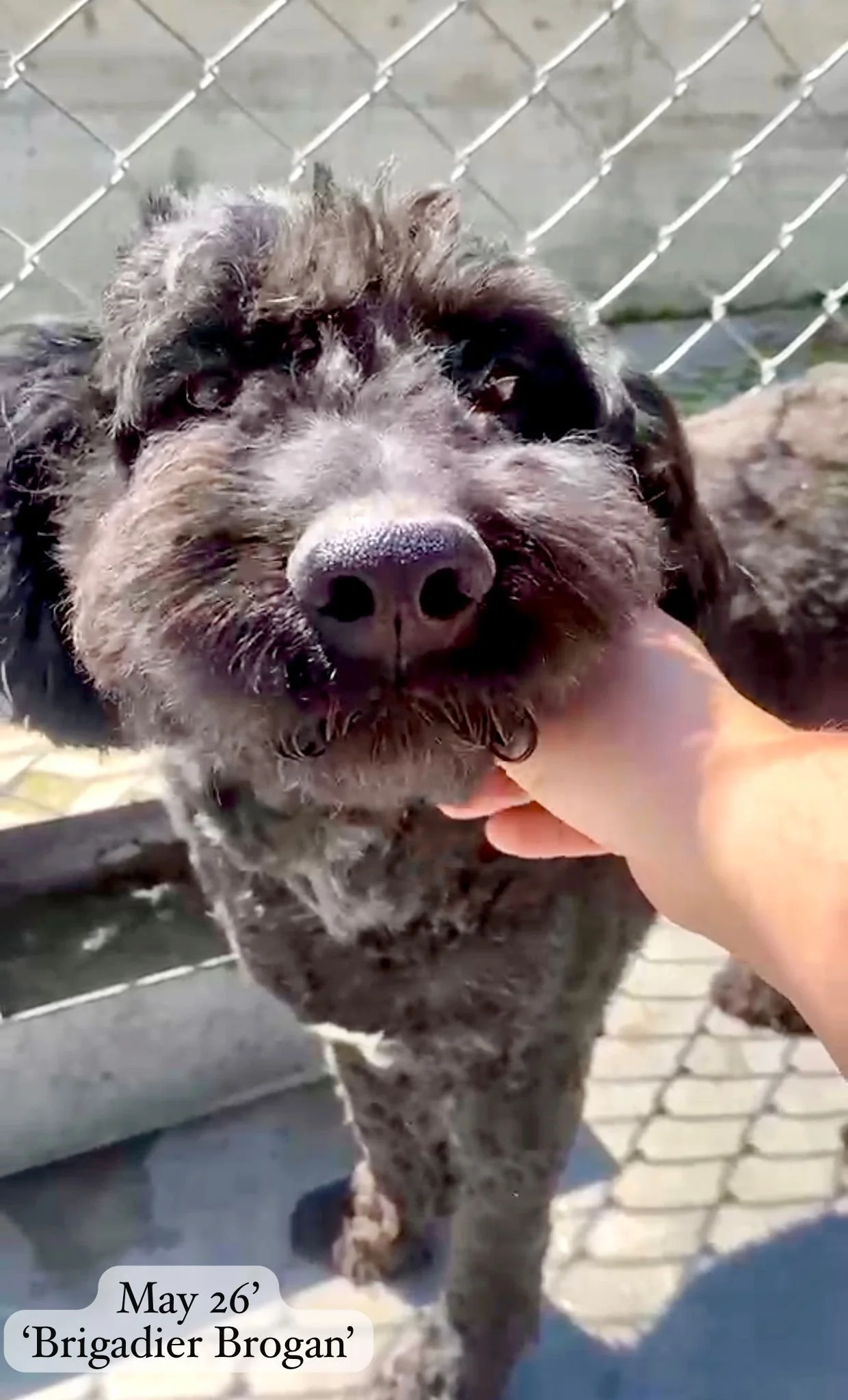 WhatsApp Image 2026-05-22 at 08.45.03.jpeg