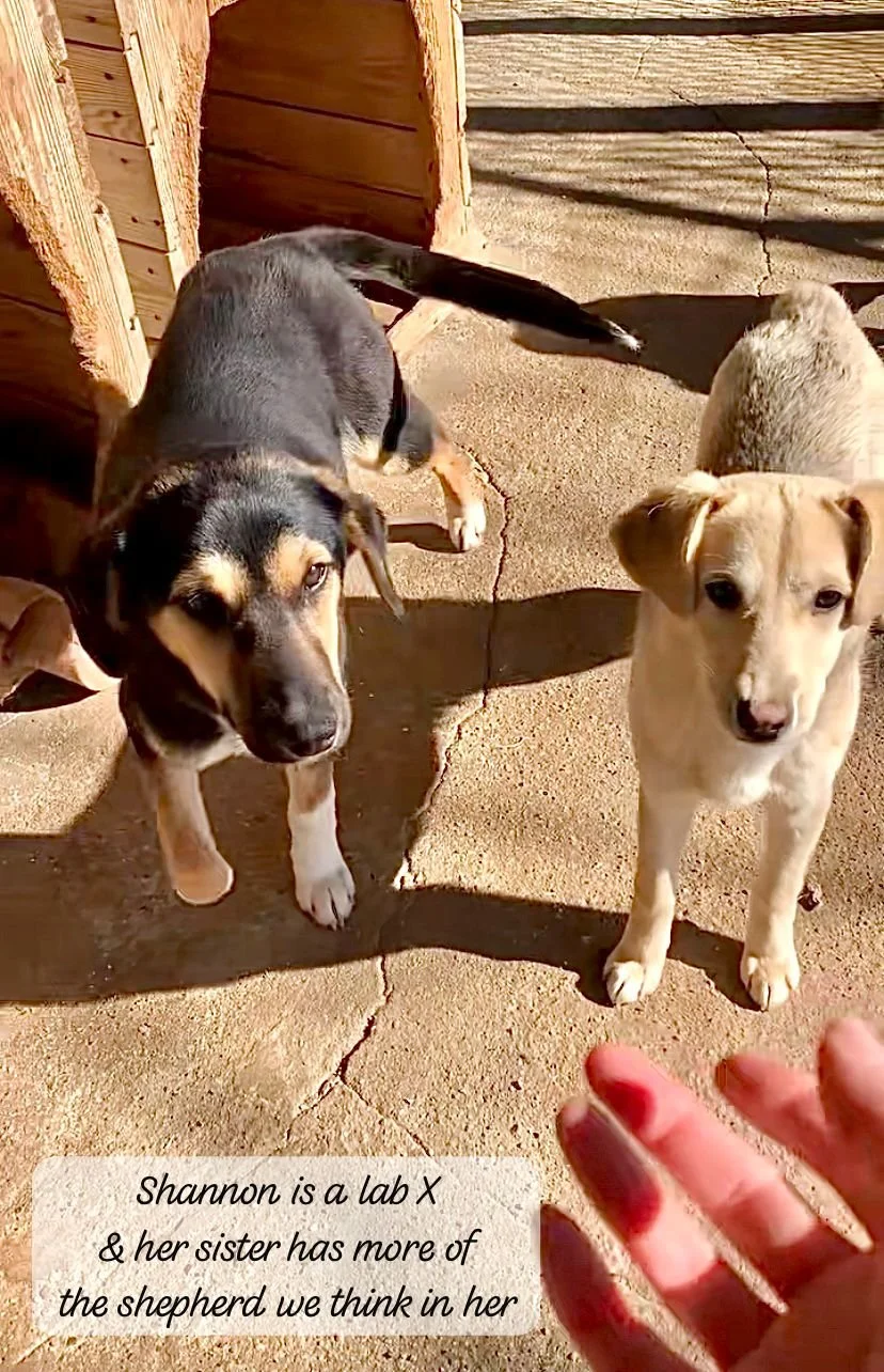 WhatsApp Image 2026-03-07 at 13.44.052.jpeg