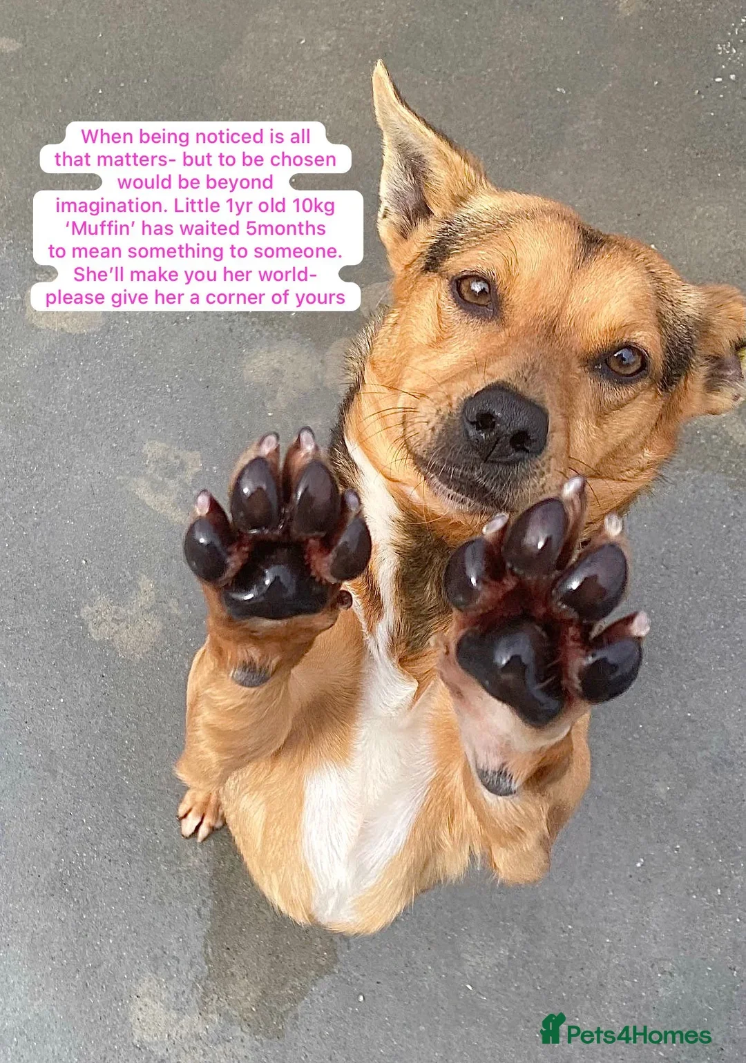 originalImage (1).webp