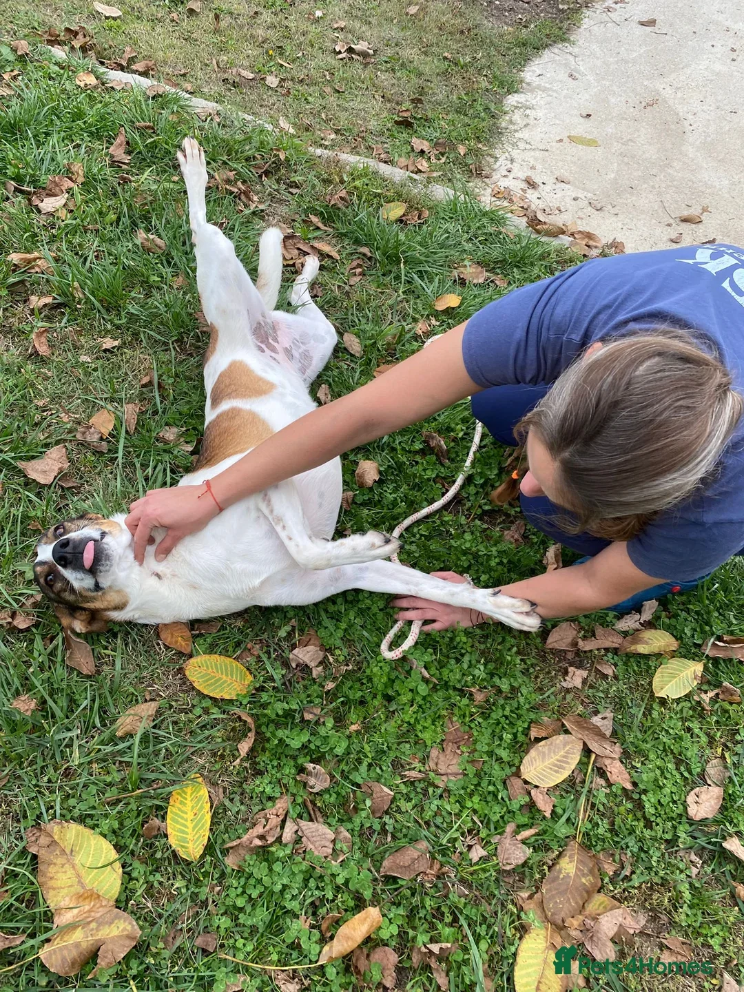 originalImage (2).webp