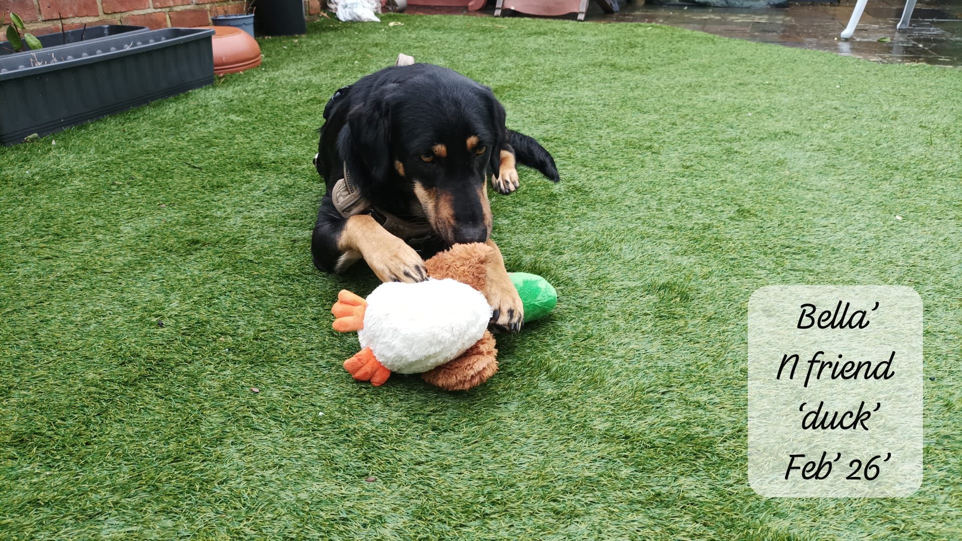 WhatsApp Image 2026-02-27 at 11.51.36 (3).jpeg