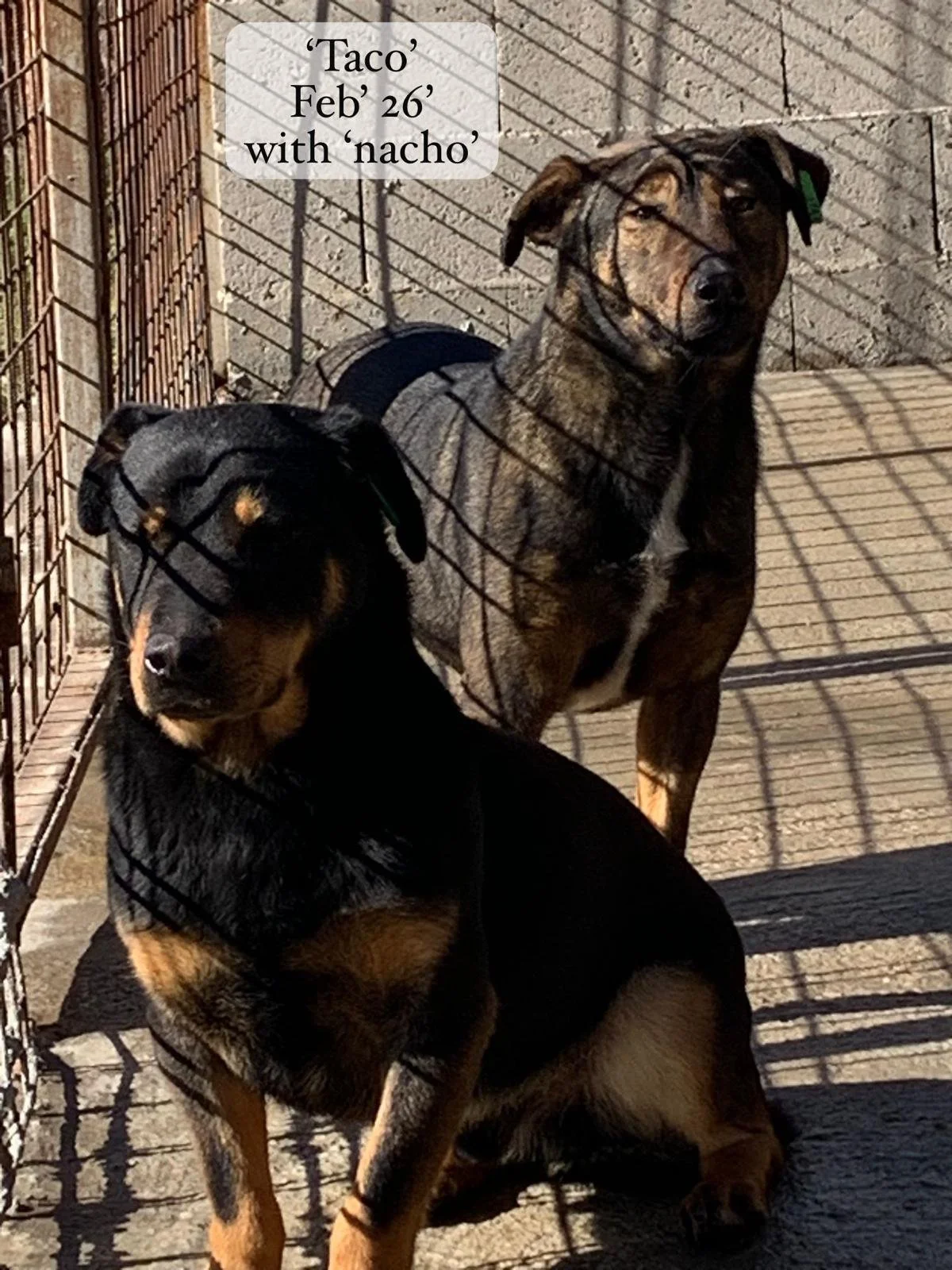 WhatsApp Image 2026-03-06 at 15.23.191.jpeg